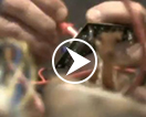 Video1 Video1